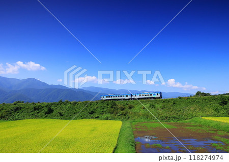 秋の八ヶ岳高原を行く観光列車 118274974