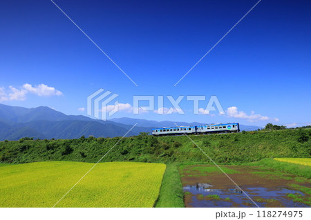 秋の八ヶ岳高原を行く観光列車 118274975