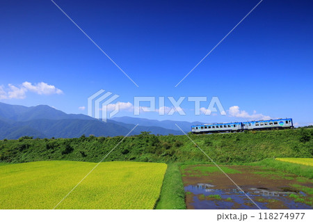 秋の八ヶ岳高原を行く観光列車 118274977