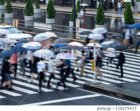 雨の日に傘を差して横断歩道を渡る人々 雨の日に傘を差して横断歩道を渡る人々 118275477