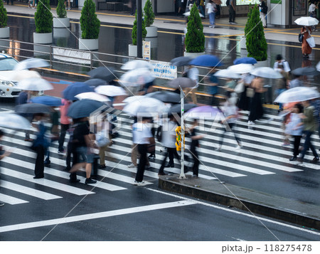 雨の日に傘を差して横断歩道を渡る人々 雨の日に傘を差して横断歩道を渡る人々 118275478