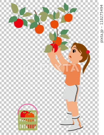 Illustration of children experiencing apple picking 01 118275494