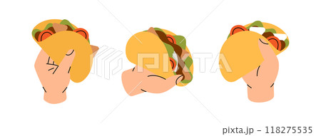 Hands hold beef tacos. Traditional Mexican street fast food. Vector illustration. 118275535