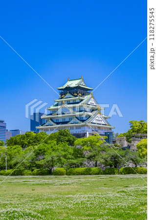 大阪城　新緑 118275545