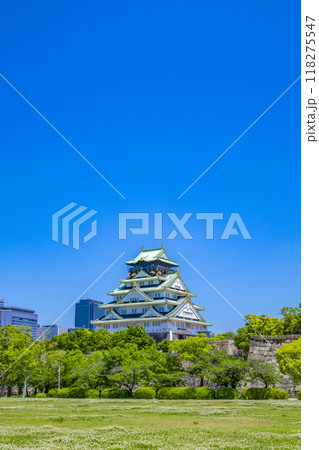大阪城　新緑 118275547