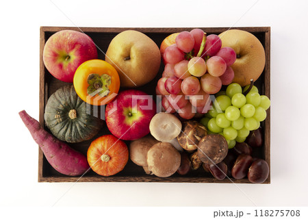 秋の味覚 秋の味覚 118275708