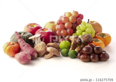 秋の味覚 秋の味覚 118275709