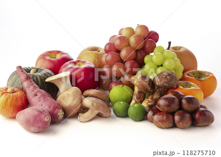 秋の味覚 118275710