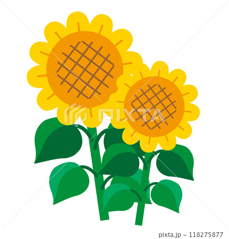 シンプルな可愛い向日葵の花のイラスト 118275877