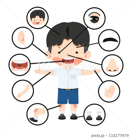 Kid boy with different parts of the body for teaching Kid boy with different parts of the body for teaching 118275979