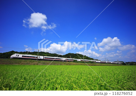 夏空と緑の水田の中を走る特急ひたち 118276052