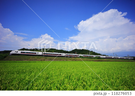 夏空と緑の水田の中を走る特急ひたち 118276053