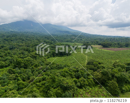 Mountain agriculture landscape 118276219
