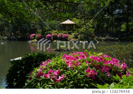 広島県　広島市　ツツジの花咲く春の庭園を歩く 118276438