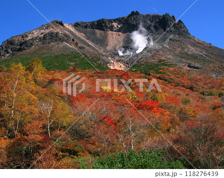 噴煙をあげる那須茶臼岳と鮮やかな紅葉 噴煙をあげる那須茶臼岳と鮮やかな紅葉 118276439