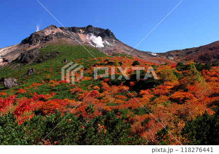 紅葉と噴煙をあげる那須茶臼岳 紅葉と噴煙をあげる那須茶臼岳 118276441