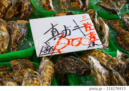 カキ 牡蠣 食用 マガキ 真牡蠣 真牡蛎 Japanese oyster カキ 牡蠣 食用 マガキ 真牡蠣 真牡蛎 Japanese oyster 118276915