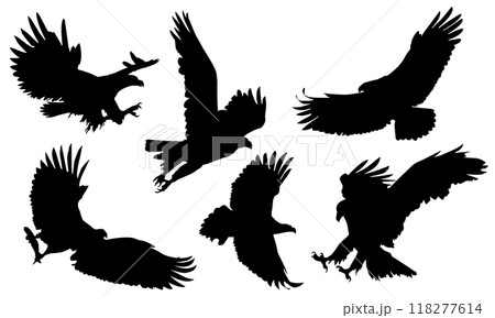 Animals eagle hawk bird fly swoop attack silhouette set collection on white background vector 118277614