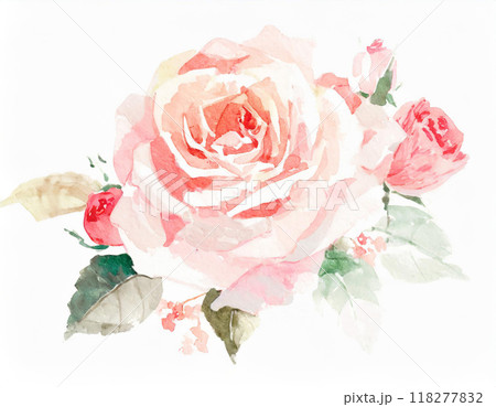 水彩画で描かれたバラ 水彩画で描かれたバラ 118277832