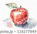 水彩画で描かれたリンゴ 118277849