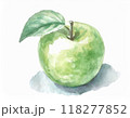 水彩画で描かれた青リンゴ 118277852