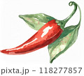 水彩画で描かれた唐辛子 118277857