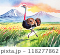 水彩画で描かれたダチョウ 118277862