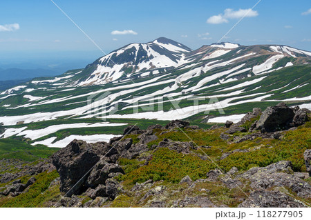 白雲岳からの大雪山旭岳　残雪のゼブラ模様　北海道絶景登山　 118277905