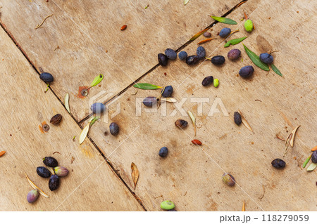 olives from tree on ceramic floor in garden olives from tree on ceramic floor in garden 118279059