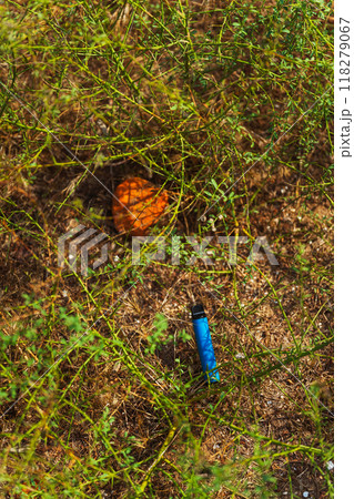 disposable electronic cigarette on the ground in the grass 118279067