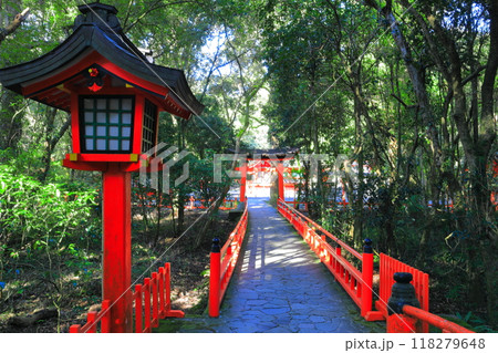【大分県】晴天の宇佐神宮の下宮 118279648