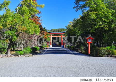 【大分県】晴天の宇佐神宮の表参道大鳥居 118279654