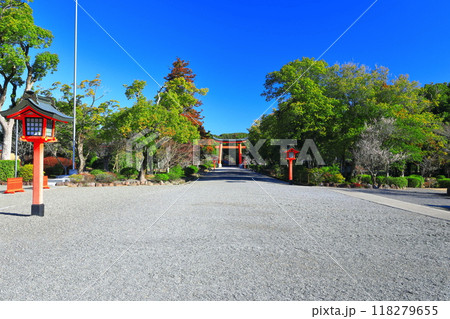 【大分県】晴天の宇佐神宮の表参道大鳥居 118279655