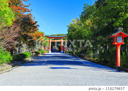 【大分県】晴天の宇佐神宮の表参道大鳥居 118279657