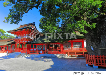 【大分県】快晴の宇佐神宮の上宮 118279676