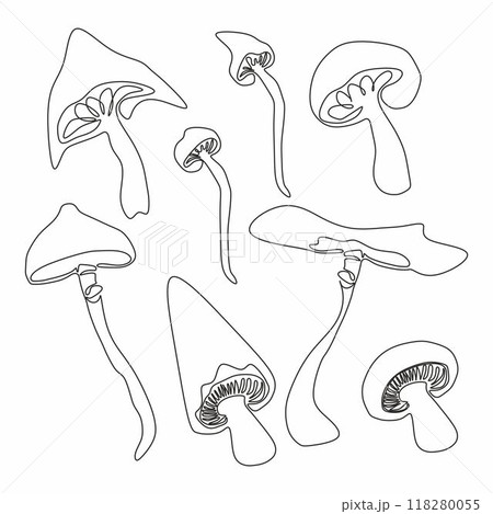 Set of fantasy mushrooms. Hand drawn vector collection. Forest plants sketches. Botanical set. 118280055