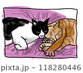 仲良く眠る猫 118280446