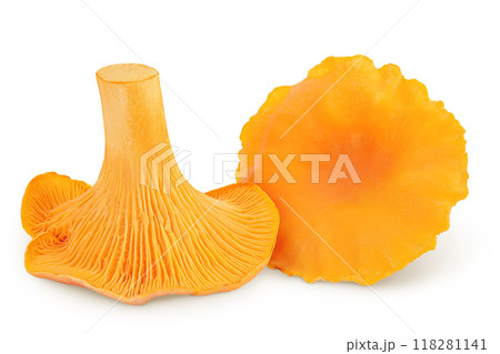 Chanterelle mushroom isolated on a white background 118281141