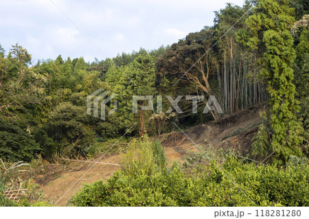 土砂崩れの風景、愛知県蒲郡市竹谷町大久古、日本 土砂崩れの風景、愛知県蒲郡市竹谷町大久古、日本 118281280