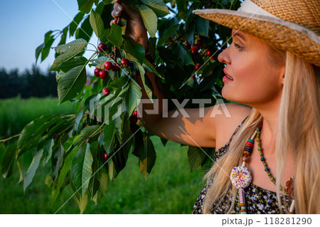 A beautiful woman holds a branch of a cherry tree and watches the summer sun set with delight 118281290