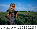 A female farmer standing in the wheat field, holding a tablet and wheat stalks, checking the informationa bout the harvest 118281299