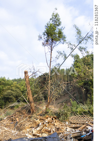 土砂崩れ現場と瓦礫、愛知県蒲郡市竹谷町大久古、日本 118281367