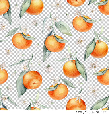 Seamless Pattern with Orange Fruit Branches, green leaves and white flower. Hand drawn watercolor illustration of citrus food for textile design. Print with tangerine on white isolated background. 118281543