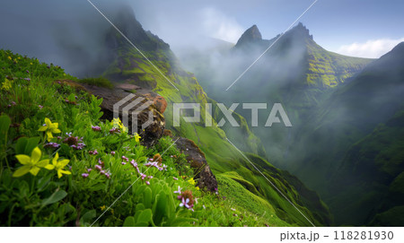 Breathtaking View of Rugged Green Mountains Partially Shrouded in Mist 118281930