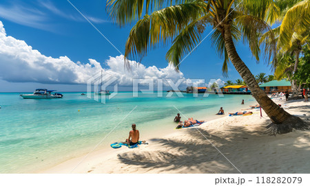 Tourists Relaxing on a Pristine Tropical Beach with Clear Blue Waters 118282079