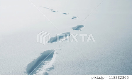 雪上に残る足跡 118282866