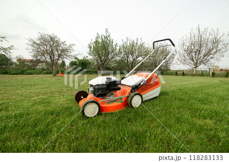 Top view of modern orange-grey gasoline lawn mower cutting bright lush green grass. Gardening work tools. Rotary lawn mower machine on lawn. Professional lawn care service. Place for text Top view of modern orange-grey gasoline lawn mower cutting bright lush green grass. Gardening work tools. Rotary lawn mower machine on lawn. Professional lawn care service. Place for text 118283133