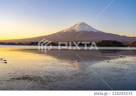 【富士山素材】冬の朝の河口湖から見た富士山【山梨県】 118283235