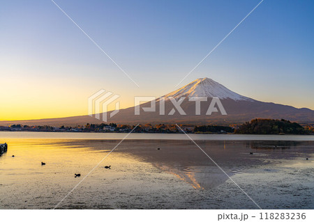 【富士山素材】冬の朝の河口湖から見た富士山【山梨県】 118283236
