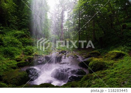 滝の裏側から見た山彦の滝　”北海道” 118283445